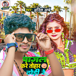 Pagal Kare Tohar Dhori Re