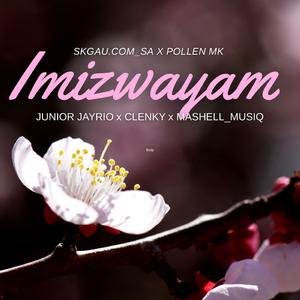 Imizwayam (feat. PollenM.K, Junior Jayrio, Clenky De Wavy & Mashell Musiq)