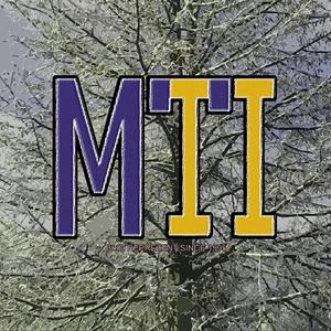 Yes Yes Yo (feat. Młody WNO & P7)