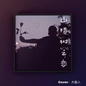 山楂树之恋