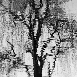 枯（Prod by FakeBlood)