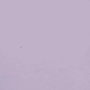 人质（LaylaNiNi）