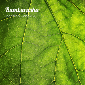 Bumburusha