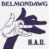 Belmondawg - Followup