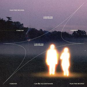 I Can See You Everywhere