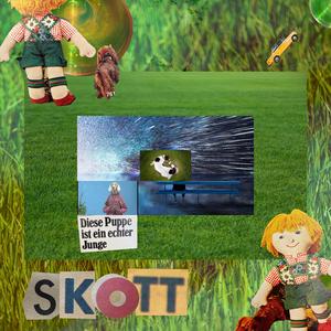 Skott