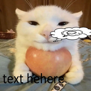 Txrxkvshki Cxlt Vol. 11 (Bogos Binted Edition)