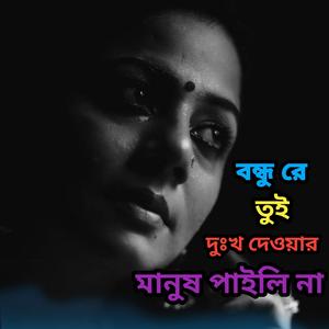 বন্ধু রে তুই দুঃখ দেওয়ার মানুষ পাইলি না
