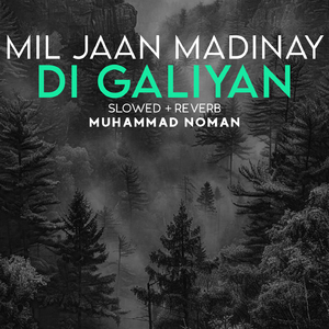 Mil Jaan Madinay Di Galiyan Lofi