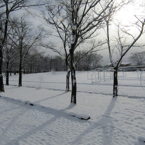 遠くに行こうと思った