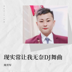 现实常让我无奈(DJ版)