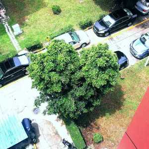 想起你 （RNBfreestyle）