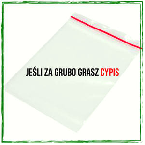 Jeśli Za Grubo Grasz