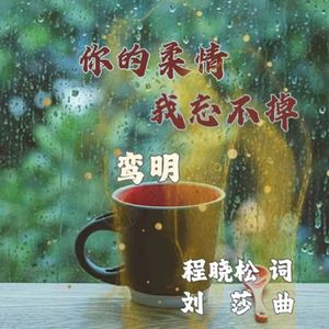 你的柔情我忘不掉