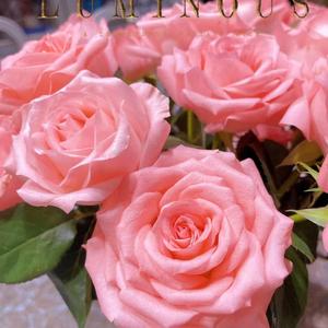 去看星星好不好(cover:陈翌朦)