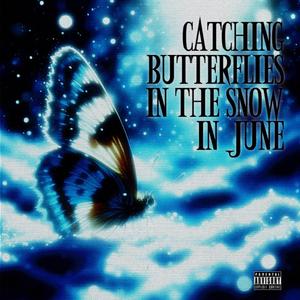 Catching Butterflies In The Snow In June（六月雪地抓蝴蝶）