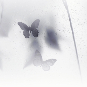 也许我们只隔着一场暴雨的距离