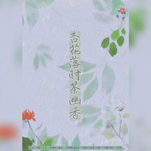 杏花落时茶幽香