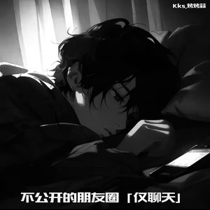 不公开的朋友圈 (仅聊天)