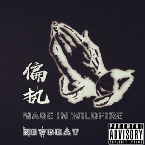 Big Sean-偏执(1)（Wildfire_Newbeat remix）