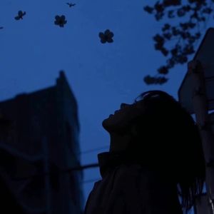 半情歌（cover：元若蓝）