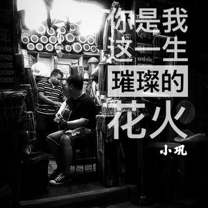 你是我这一生璀璨的花火