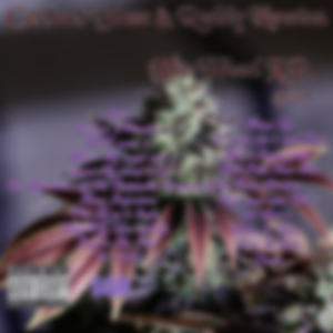 24 Hour's (feat. Krazy kay)