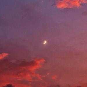 moonshine