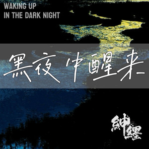 黑夜中醒来