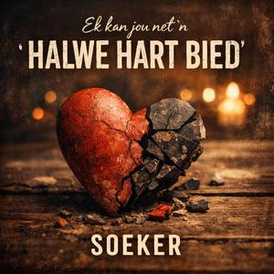 Ek kan jou net 'n halwe hart bied