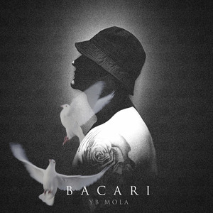 Bacari