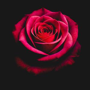 The echo moved out (Stripped Down)