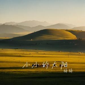 小小的太阳 (Cover 孙露)