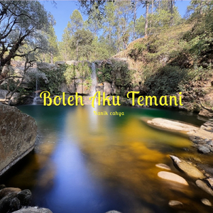 Boleh Aku Temani