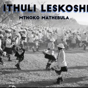 Ithuluzi Leskoshi
