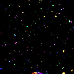 那女子眼里尽是星辰闪烁