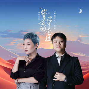 你是我的海市蜃楼 (DJBanan烟嗓对唱版)