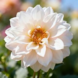 空中怪车事件 (11 Remix)