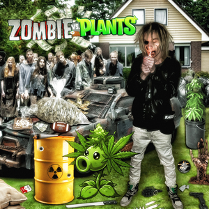 ZOMBIE VS PLANTS