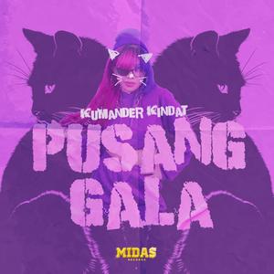 Pusang Gala (Will You Let Me In)