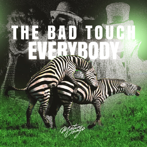 The Bad Touch VS Everybody (Remix)