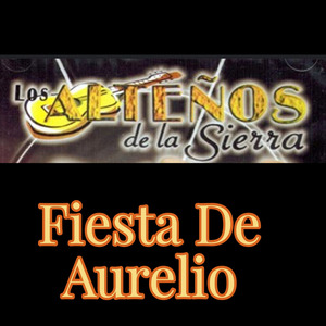 Por Querer a una Mujer