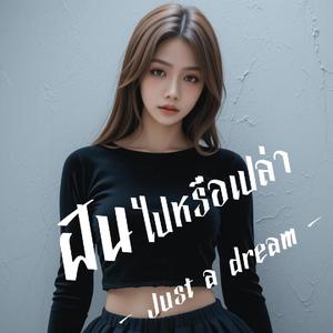 ฝันไปหรือเปล่า