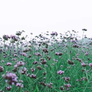 在无限の时间中