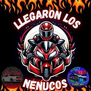 Llegaron los Nenucos