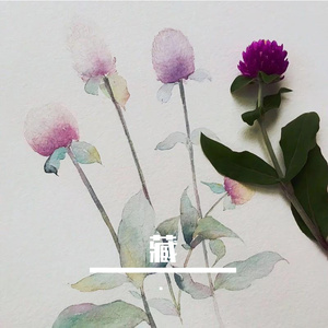 藏在时光里的话（guitar）