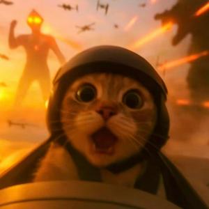 哈基米 - 123我哈你