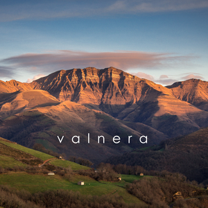 valnera