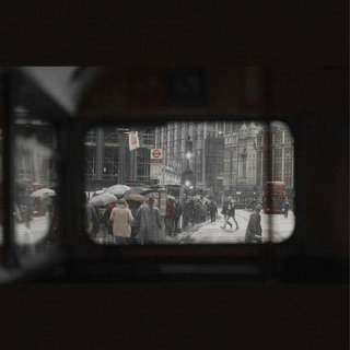 沼泽 死水 藤蔓