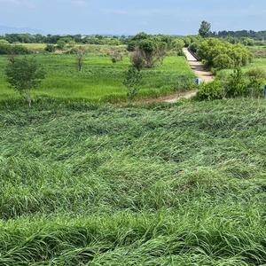 아무렇지도 않게 아무렇지 않은척